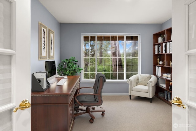 office space with carpet flooring