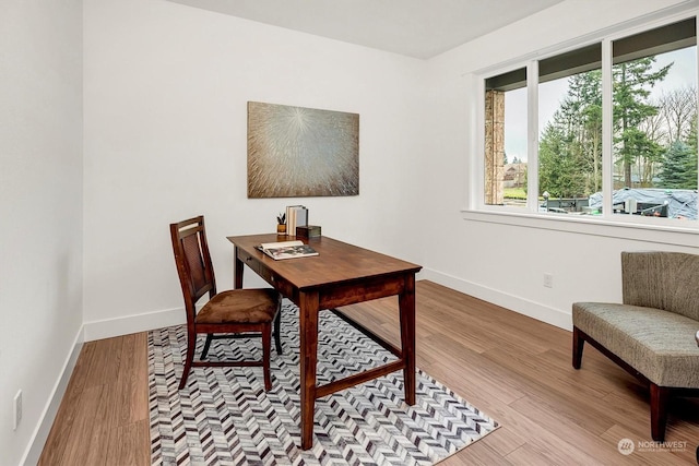 office featuring a wealth of natural light and light hardwood / wood-style flooring