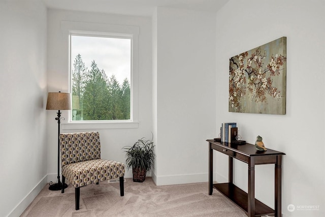 living area featuring carpet floors