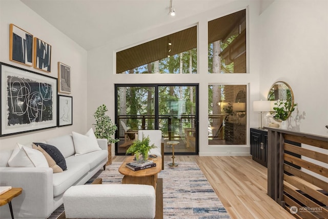 living room with hardwood / wood-style floors and high vaulted ceiling