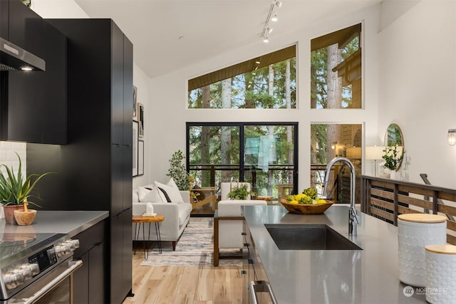 interior space with stainless steel range with electric cooktop, light hardwood / wood-style flooring, high vaulted ceiling, and sink
