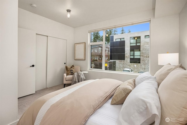 carpeted bedroom featuring a closet