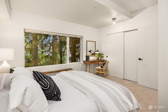 carpeted bedroom with a closet