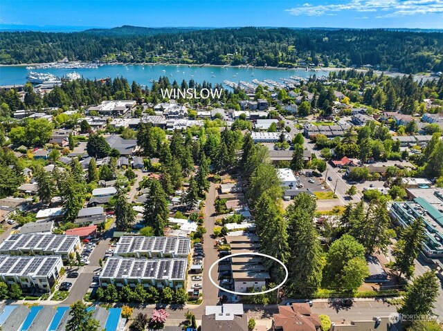 203 Madrona Way NE Unit 3F, Bainbridge Island, WA 98110 - photo 34