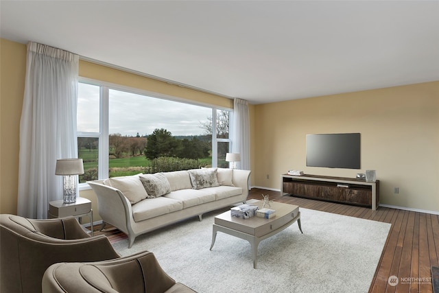 living room with hardwood / wood-style flooring