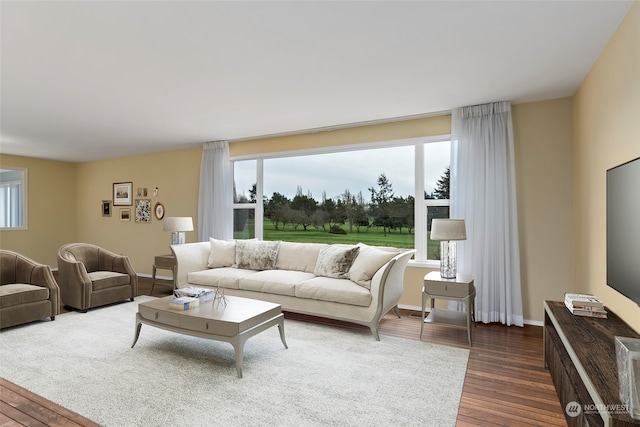 living room featuring dark wood-type flooring and a healthy amount of sunlight