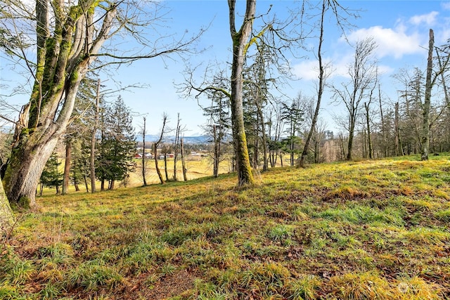 Listing photo 3 for 0 Van Wyck Rd, Bellingham WA 98226