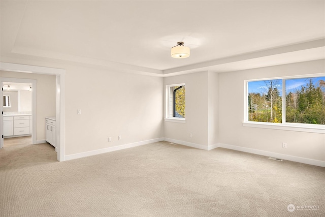 carpeted spare room with a wealth of natural light and a tray ceiling