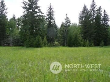 Listing photo 2 for 0TBD Lakeview Dr, Oroville WA 98844