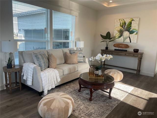 living room featuring dark wood-type flooring and a tray ceiling