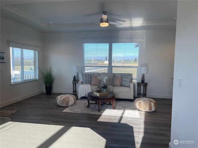 living room featuring dark wood-type flooring, a raised ceiling, and ceiling fan