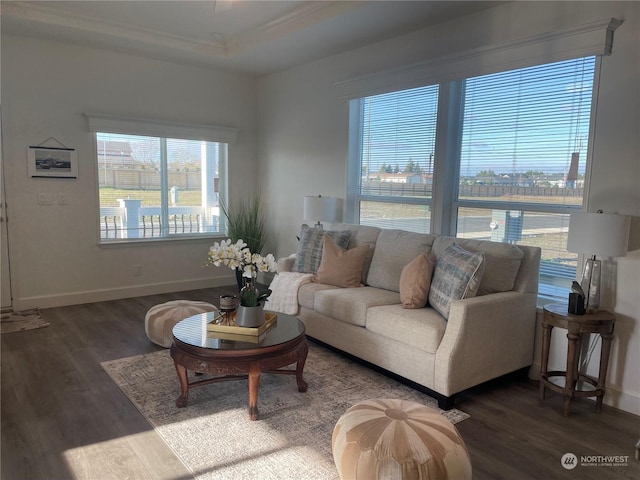 living room with dark hardwood / wood-style flooring, a raised ceiling, and a wealth of natural light