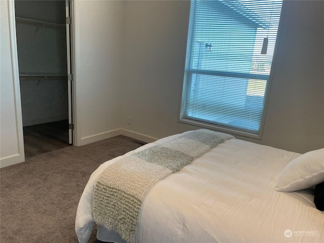 bedroom with dark colored carpet, a spacious closet, and a closet