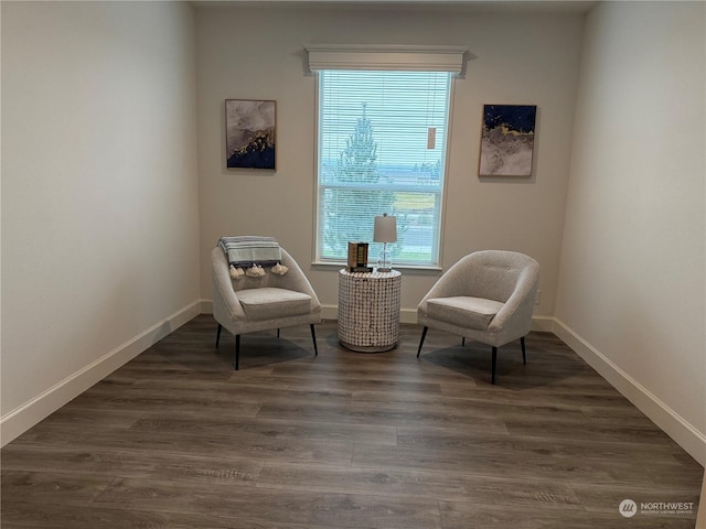 sitting room featuring dark hardwood / wood-style floors