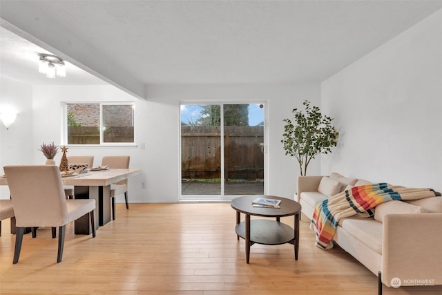 living room featuring light hardwood / wood-style floors