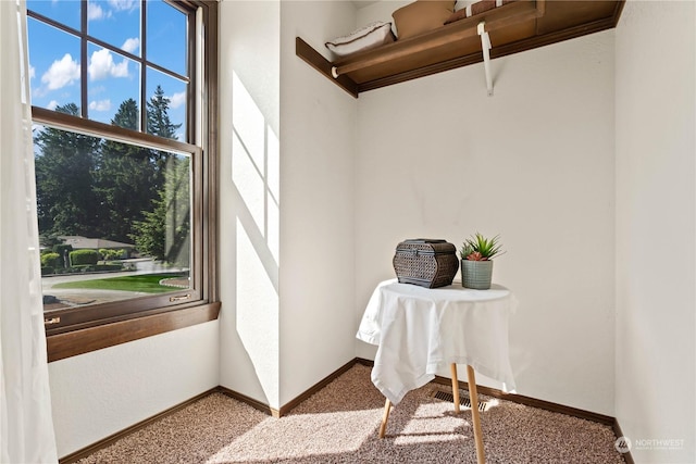 interior space featuring carpet flooring