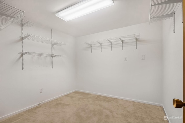 walk in closet featuring carpet floors