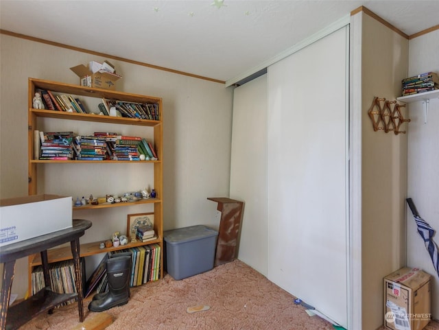 misc room featuring carpet flooring and crown molding