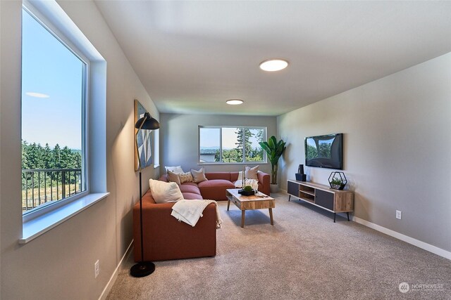 carpeted living area featuring baseboards