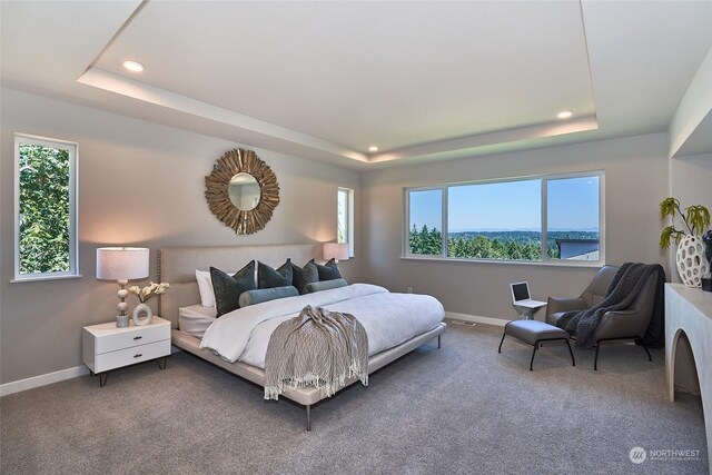 carpeted bedroom featuring baseboards, a tray ceiling, and recessed lighting