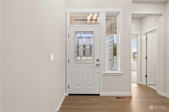 foyer entrance with a healthy amount of sunlight and wood-type flooring