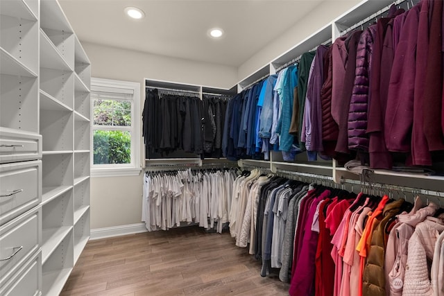 walk in closet with hardwood / wood-style floors