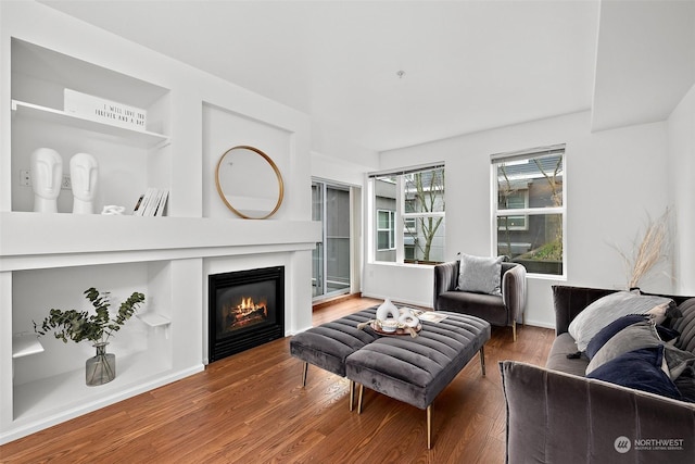 living room featuring hardwood / wood-style flooring