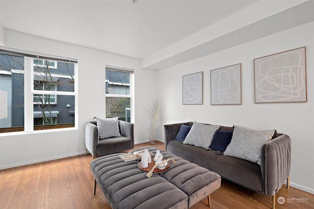 living room featuring hardwood / wood-style floors