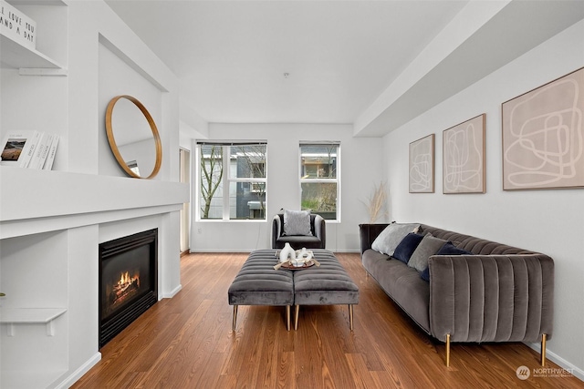 living room with hardwood / wood-style floors