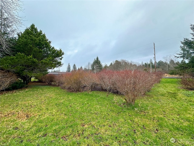 2225 Ocean Beach Rd, Copalis Crossing, WA 98536 - photo 23