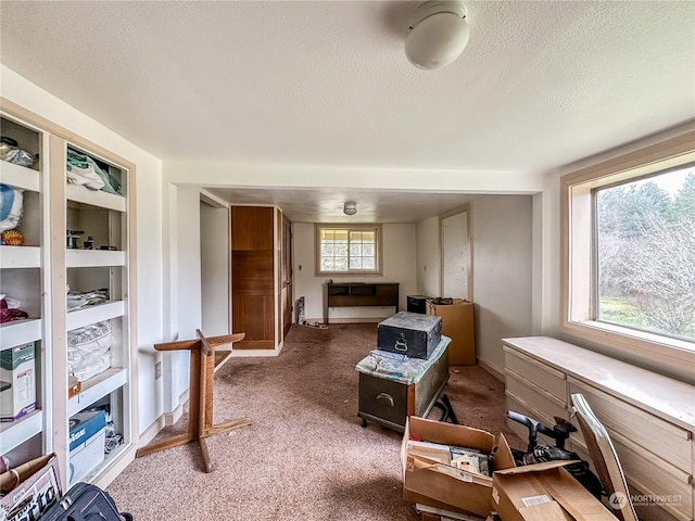 home office featuring carpet floors and a textured ceiling