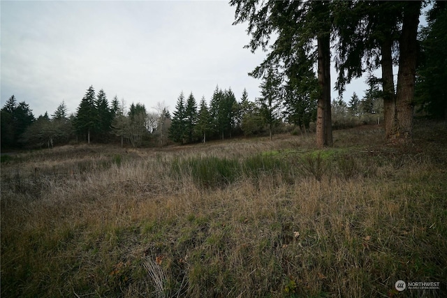 Listing photo 3 for 174 Daves View Dr, Kalama WA 98625