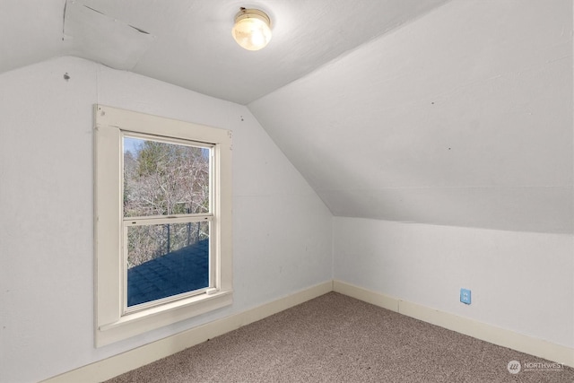 additional living space with carpet and vaulted ceiling