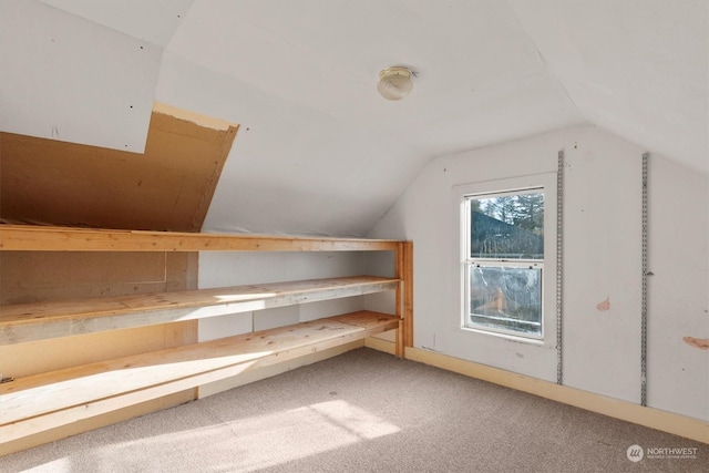 additional living space featuring vaulted ceiling and carpet