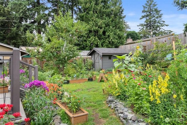 view of yard with a shed