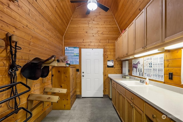 laundry area with sink, wood ceiling, and wooden walls