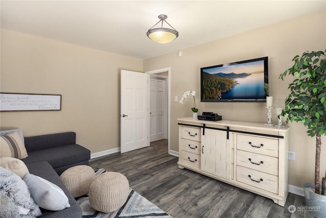 living room featuring dark hardwood / wood-style flooring