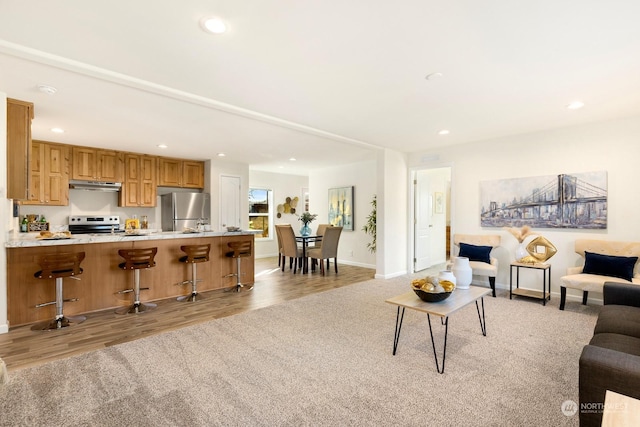 living room featuring light hardwood / wood-style flooring