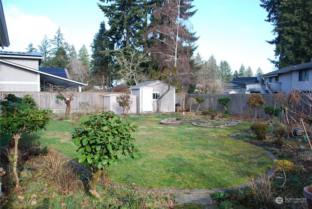 view of yard with a shed