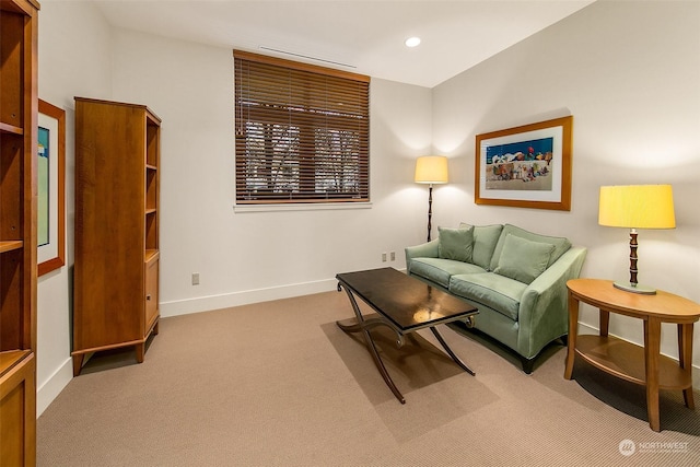 sitting room with carpet floors