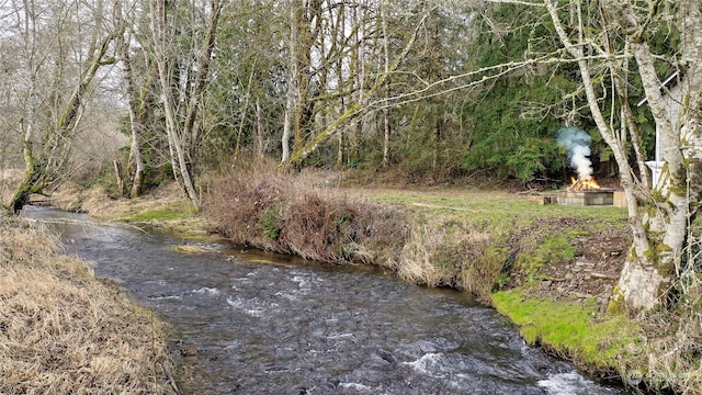 149 Barton Rd, Rochester, WA 98579 - photo 2