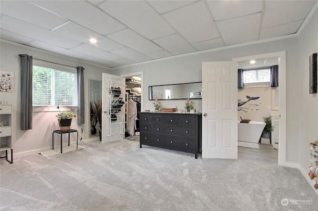 bedroom featuring crown molding, carpet flooring, a paneled ceiling, a walk in closet, and a closet