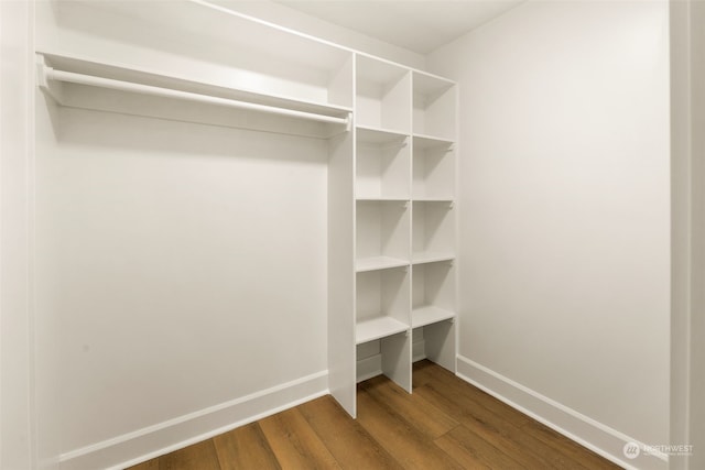 walk in closet featuring wood-type flooring