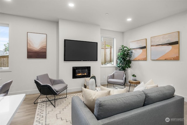 living room with light hardwood / wood-style flooring