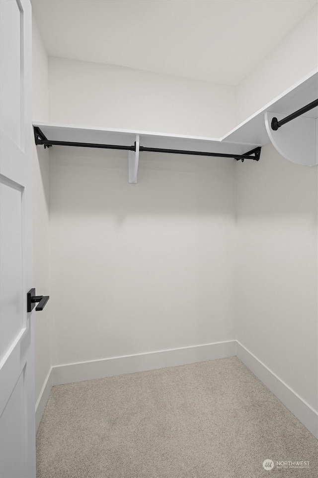 spacious closet with carpet