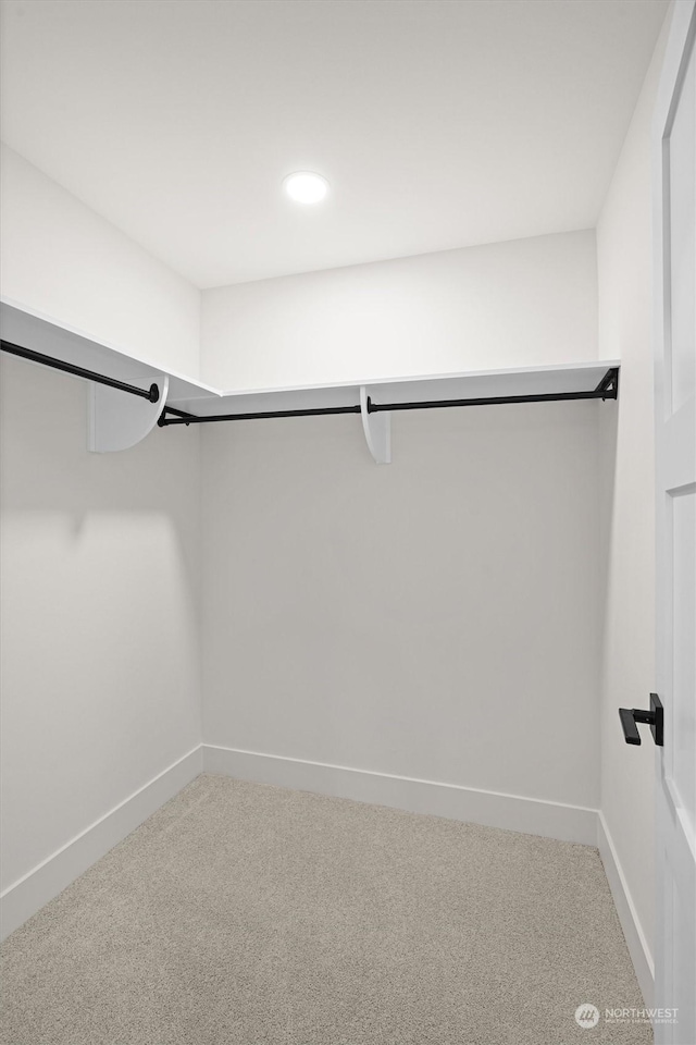 walk in closet featuring carpet