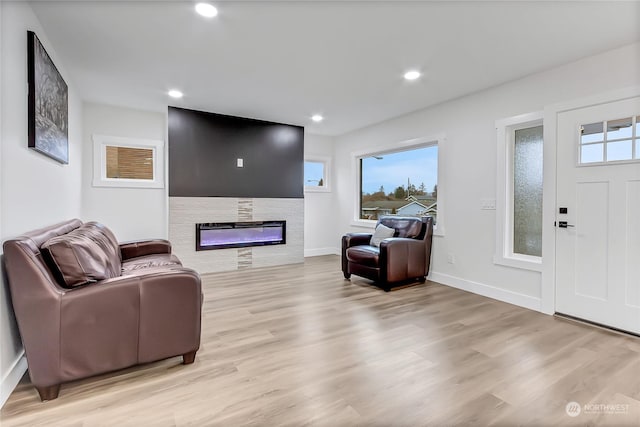 living room with light wood-type flooring