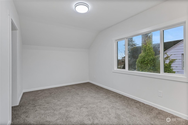 additional living space featuring carpet and vaulted ceiling