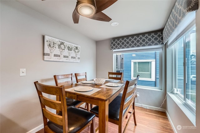 dining area with ceiling fan and light hardwood / wood-style flooring