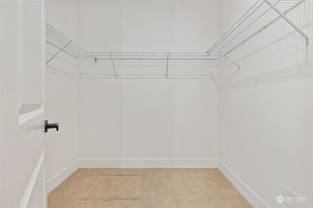 spacious closet with carpet floors